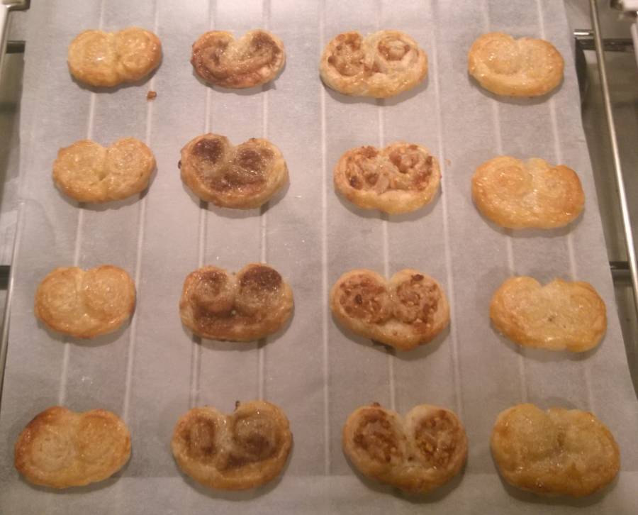 palmiers.jpg palmiers.jpg